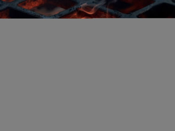 The Little Smoker Book: Getting Into the Top Level of Grilling
