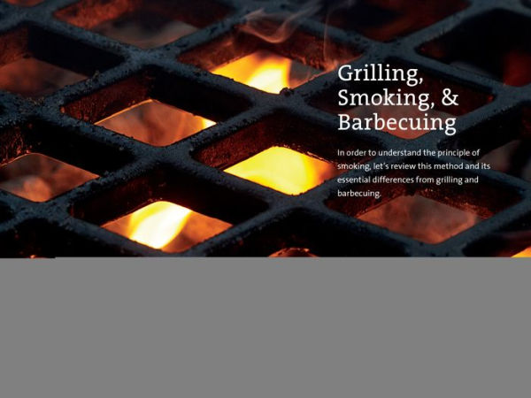 The Little Smoker Book: Getting Into the Top Level of Grilling