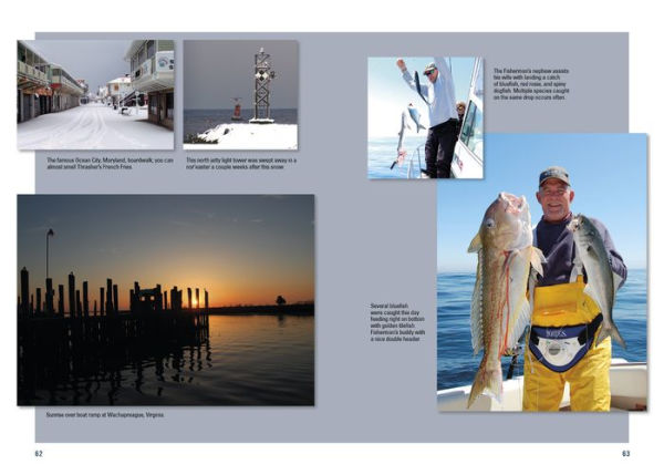 Saltwater Tales: Offshore, Bay, and Surf Fishing Adventures with Proven Tips and Techniques for the Saltwater Angler