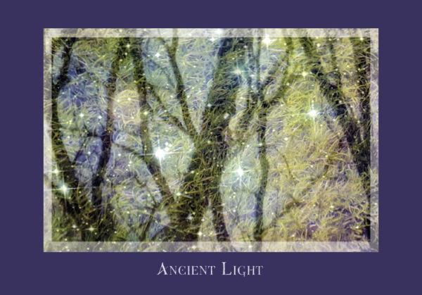 Gaia's Vision Oracle Cards: (Oracle Kit Box Set with 40 Cards and Guide Book)