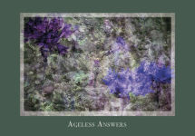 Alternative view 8 of Gaia's Vision Oracle Cards: (Oracle Kit Box Set with 40 Cards and Guide Book)