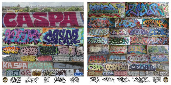 Baltimore Graffiti: The Definitive Charm City Style Collection
