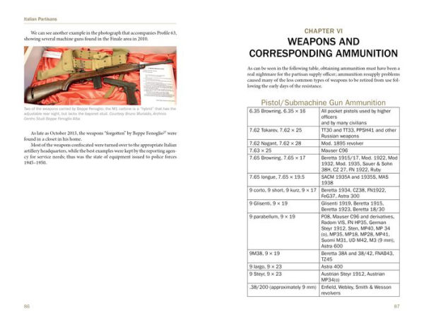 Italian Partisan Weapons in WWII
