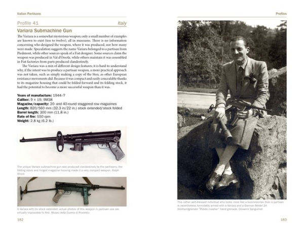 Italian Partisan Weapons in WWII