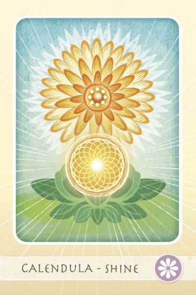 The Herbal Healing Deck (Deck and Guidebook Box Set)