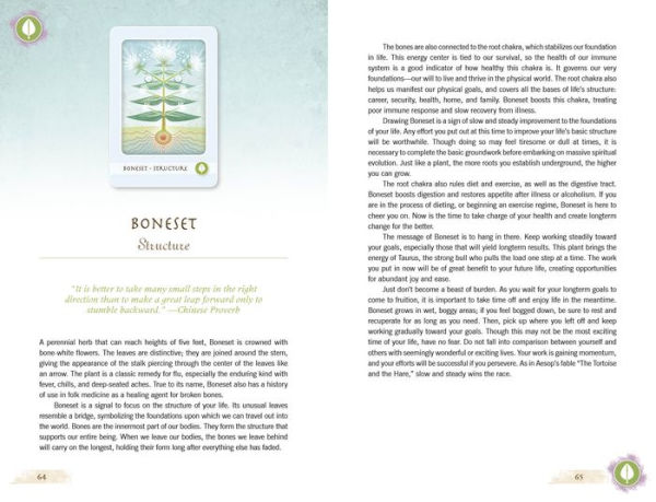 The Herbal Healing Deck (Deck and Guidebook Box Set)