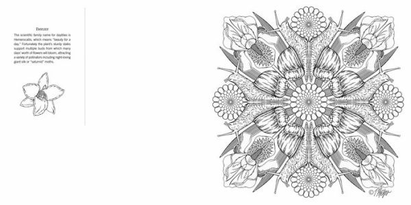 Garden Life: Nature Mandala Coloring Book