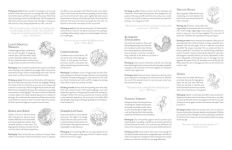 Alternative view 5 of Kristy's Summer Cutting Garden: A Watercoloring Book