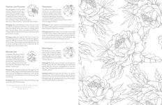 Alternative view 6 of Kristy's Summer Cutting Garden: A Watercoloring Book