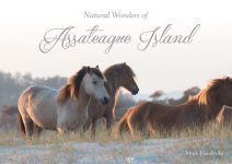 Alternative view 1 of Natural Wonders of Assateague Island