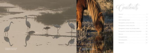 Natural Wonders of Assateague Island