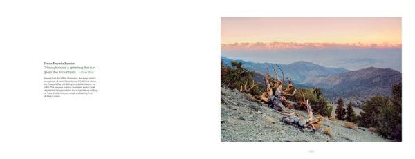 High Sierra: The Range of Light