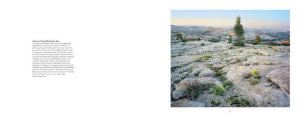 High Sierra: The Range of Light