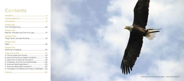 Mr. President and The First Lady: The DC Eagle Cam Project