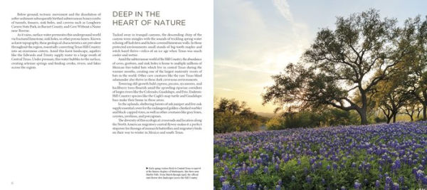 Texas Hill Country: A Scenic Journey