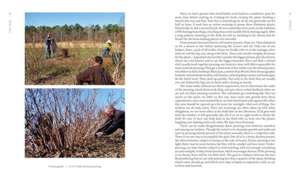 Out in Blue Fields: A Year at Hokum Rock Blueberry Farm