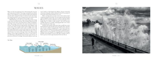 The Ever-Changing Coastline: Tidal Forces at Work