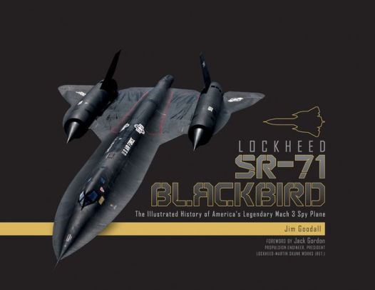 blackbird plane toy