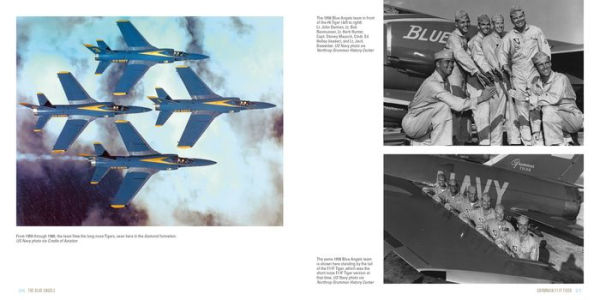 the Blue Angels: US Navy's Flight Demonstration Team, 1946 to Present