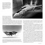 Alternative view 4 of F-14 Tomcat: Grumman's 