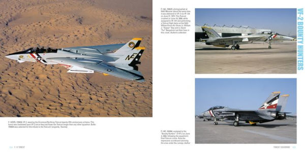 F-14 Tomcat: Grumman's 