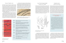 Alternative view 7 of The Intentional Thread: A Guide to Drawing, Gesture, and Color in Stitch