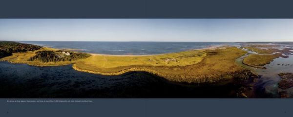 Art from above Cape Cod
