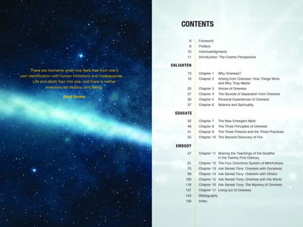 the Three Principles of Oneness: How Embodying Cosmic Perspective Can Liberate Your Life