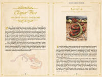 Alternative view 3 of Monsters and Mythical Creatures from around the World
