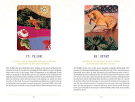 Alternative view 6 of The Creativity Oracle: Visions of Enchantment to Guide & Inspire Magic Makers