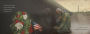 Alternative view 4 of America's Flag Story