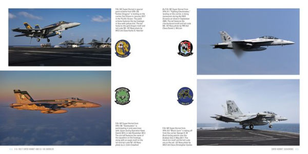 F/A-18E/F Super Hornet and EA-18G Growler: The US Navy's Primary Fighter/Attack Aircraft