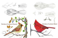 Alternative view 5 of 50 Bird Woodcarving Patterns