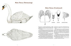 Alternative view 6 of 50 Bird Woodcarving Patterns