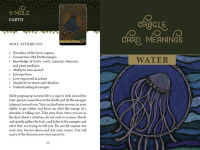 Alternative view 5 of The Wild Elemental Oracle