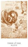Alternative view 9 of Da Vinci Enigma Tarot (Deck and Guidebook Box Set)