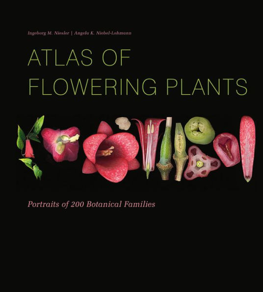 Atlas of Flowering Plants: Visual Studies of 200 Deconstructed Botanical Families