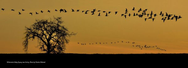 Willamette Valley, Oregon