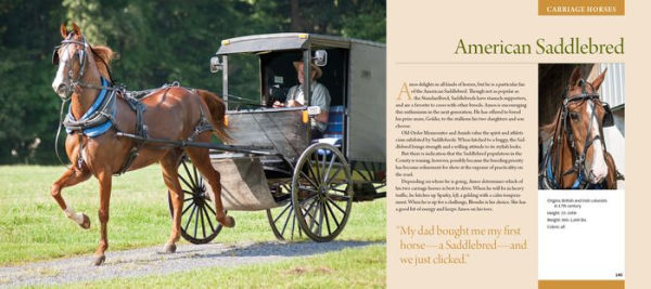 Working Horses of Lancaster County