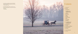 Alternative view 3 of Working Horses of Lancaster County