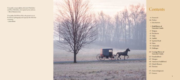 Working Horses of Lancaster County