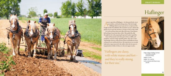 Working Horses of Lancaster County