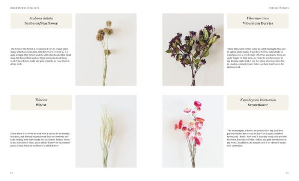 Forever Flowers: Dry, Preserve, Display