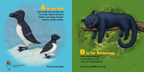 P Is for Puffin: The ABCs of Uncommon Animals