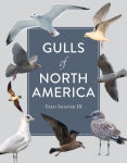 Alternative view 1 of Gulls of North America