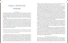 Alternative view 5 of Gulls of North America