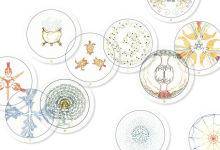 Alternative view 4 of Transparent Oracle