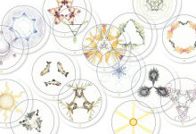 Alternative view 5 of Transparent Oracle
