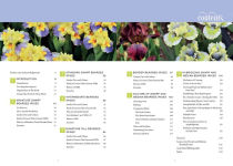 Alternative view 2 of Dwarf and Median Bearded Irises: Jewels of the Iris World