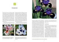 Alternative view 3 of Dwarf and Median Bearded Irises: Jewels of the Iris World